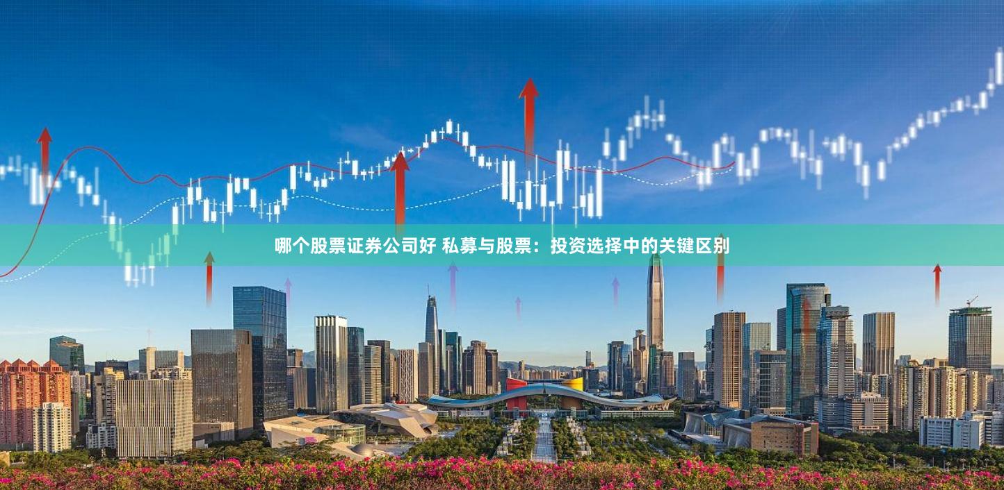 哪个股票证券公司好 私募与股票:投资选择中的关键区别
