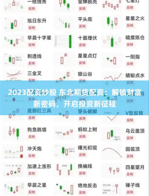 2023配资炒股 东北期货配资：解锁财富新密码，开启投资新征程
